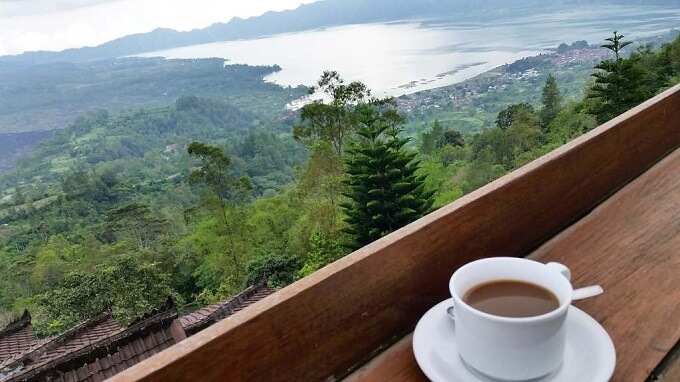 Bali coffee