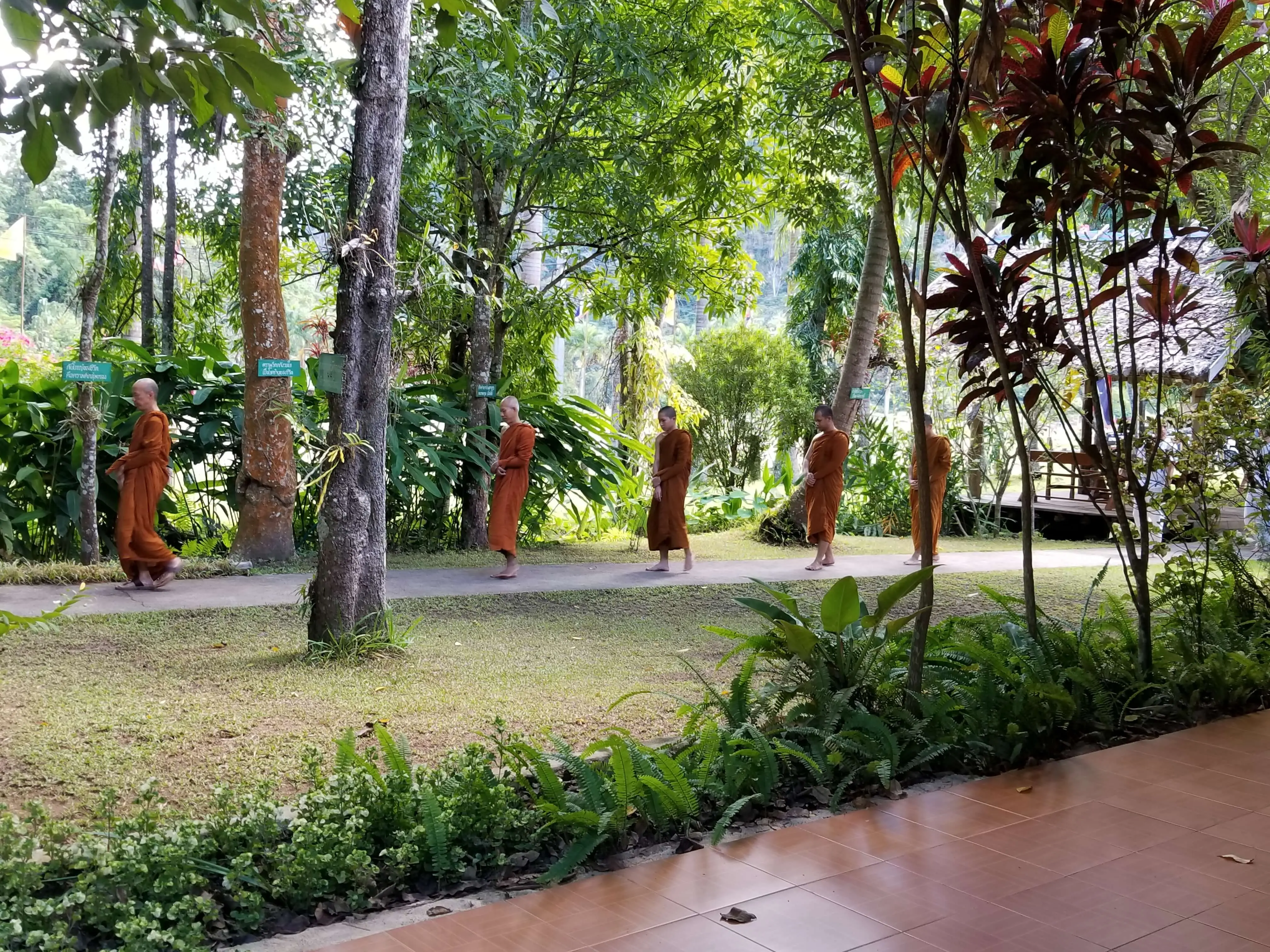 Tam Wua Forest Monastery monks Tam Wua Forest Monastery monks