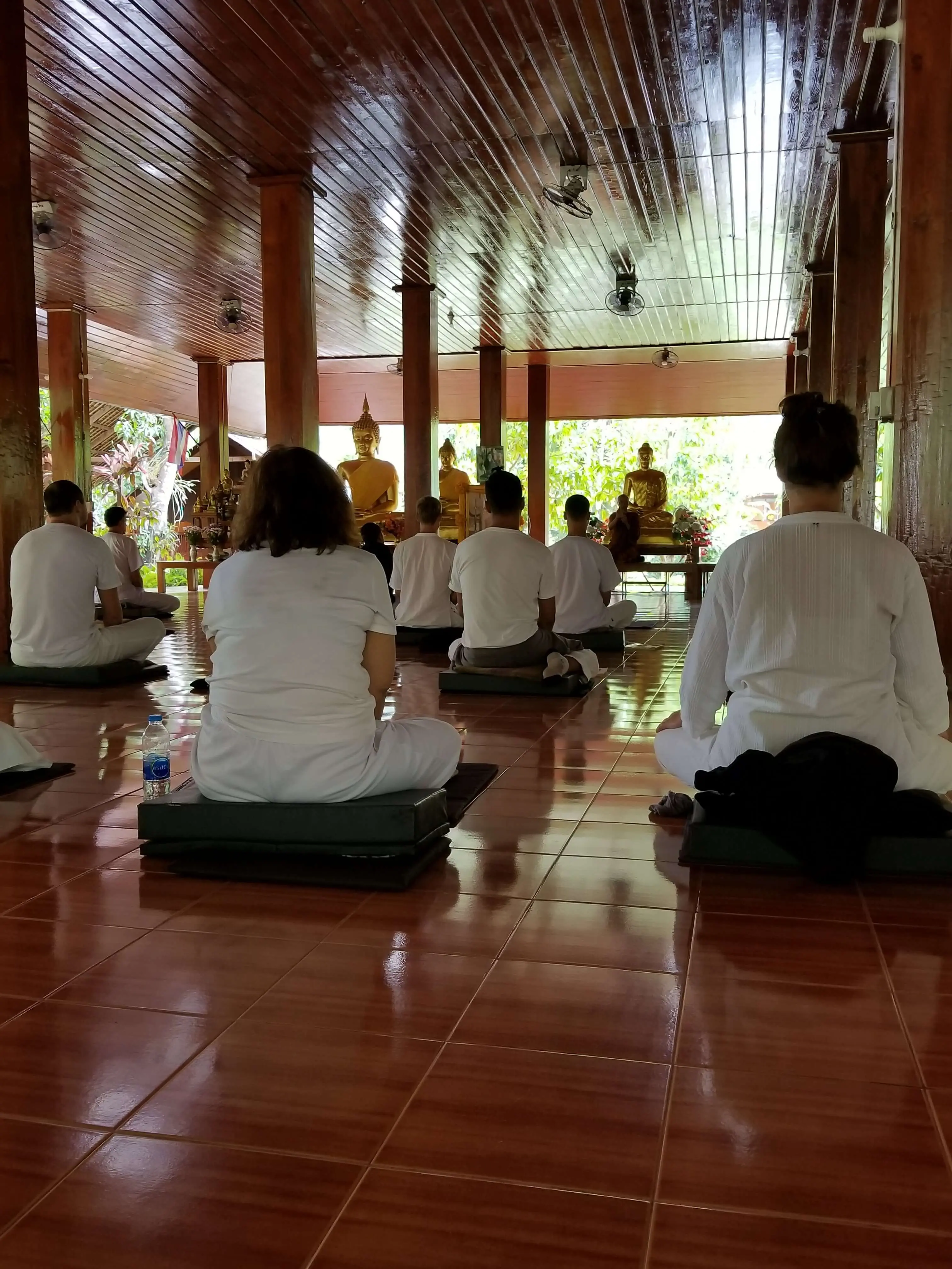 tam wua forest monastery sitting meditation tam wua forest monastery sitting meditation