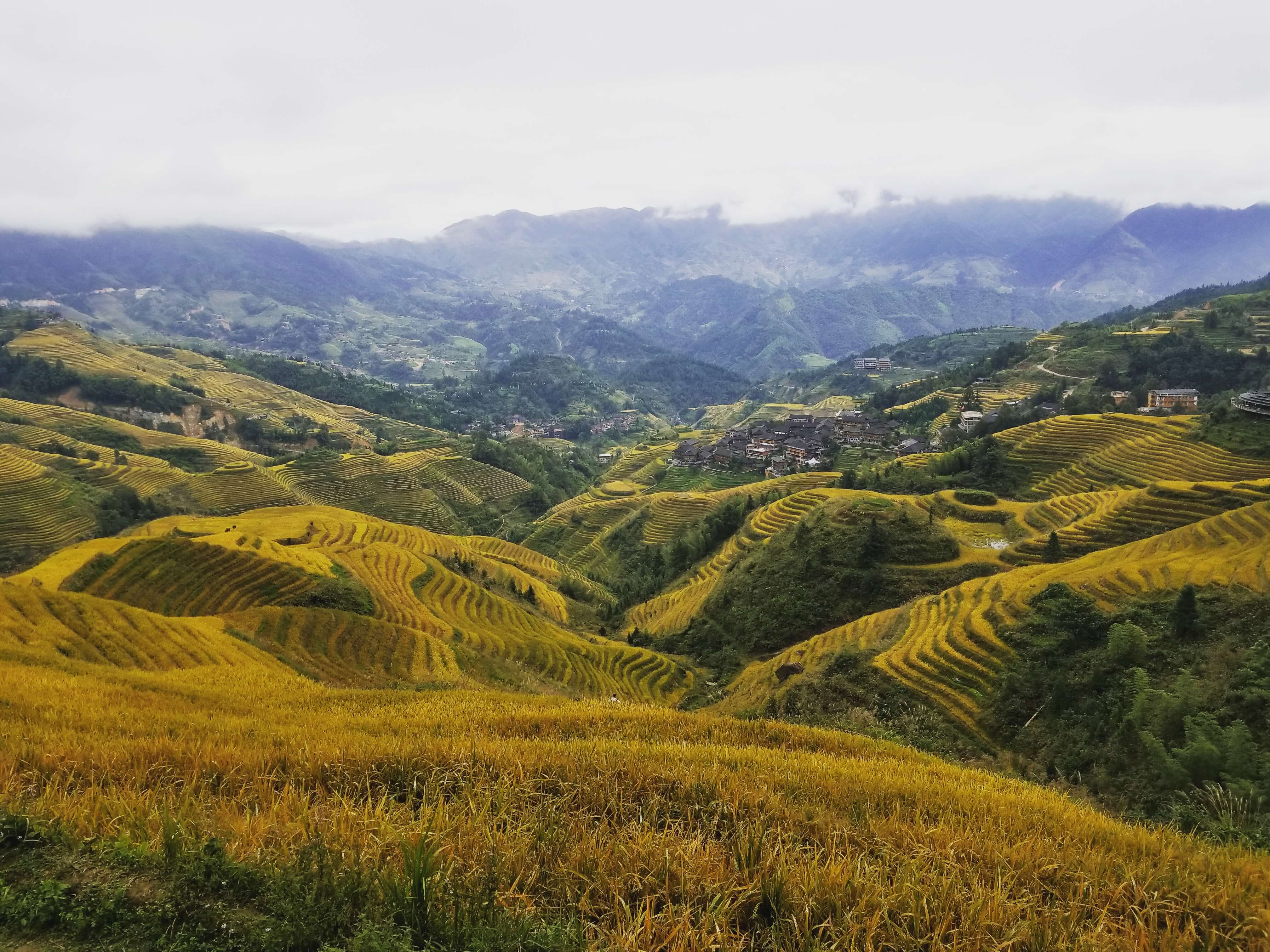 Longsheng Rice Terraces