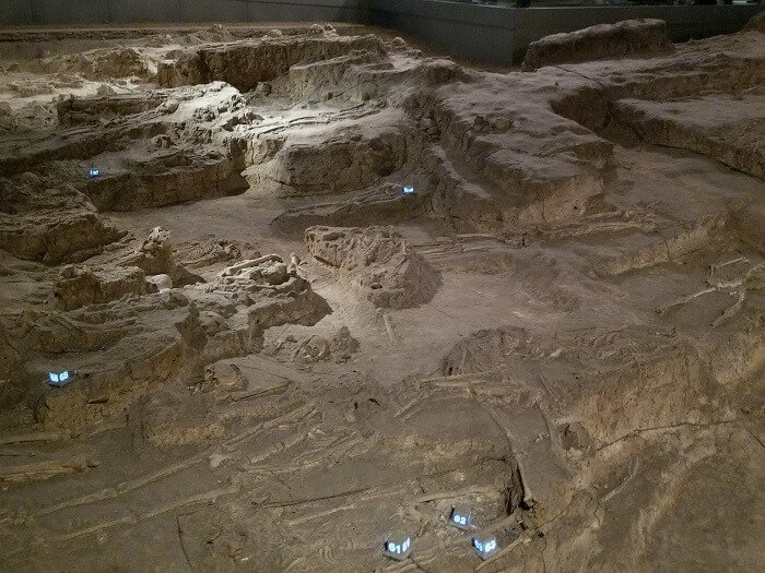 Nanjing Massacre Memorial skeletal remains