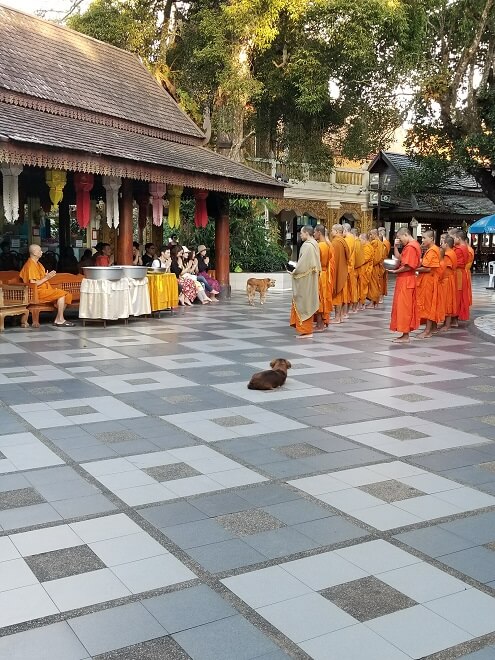 monks Doi Suthep Chiang Mai
