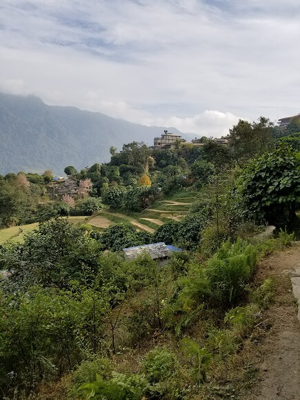 Ghandruk Annapurna