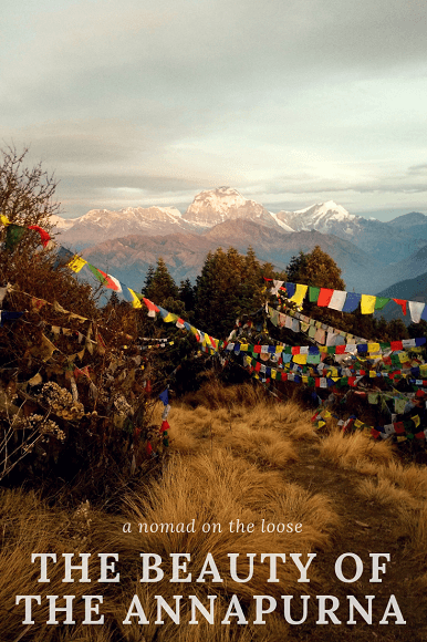 The beauty of the Annapurna - discover the gorgeous lesser known range of the Himalayas