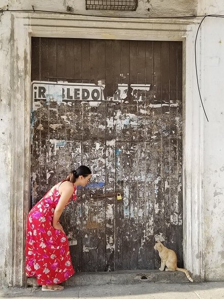 cartagena door kitty