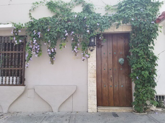 door climbing plants