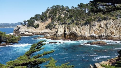 point lobos